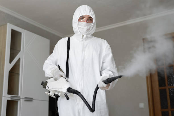 Why You Should Choose Our Mold Remediation Services in Eustace, TX